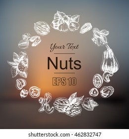Vector background sketch walnuts, peanut, cashew, hazelnut, almonds, pistachio nut.
