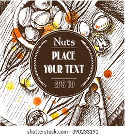 Vector background, sketch, walnuts.
Watercolor background walnuts.