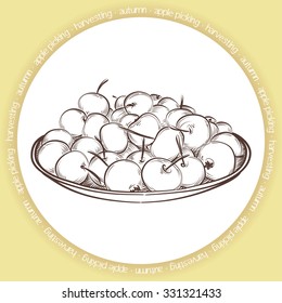 vector background with sketched bowl of apples
