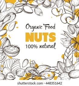 Vector background with sketches of plants of various nuts. The pattern with space for text. Flyer, booklet for advertising and design. Line silhouettes of cashew, hazelnut, walnut, pistachio, pecan.