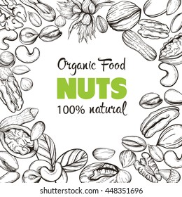 Vector background with sketches of plants of various nuts. The pattern with space for text. Flyer, booklet for advertising and design. Line silhouettes of cashew, hazelnut, walnut, pistachio, pecan.