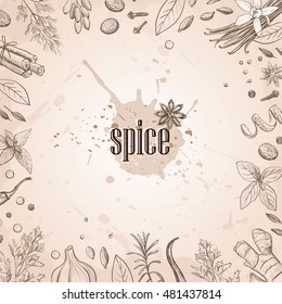 Vector background with sketches of traditional spices and herbs .