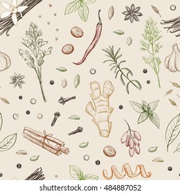 Vector background with sketches of traditional spices and herbs .