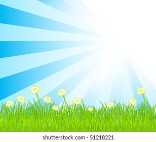 vector background with sky and grass.