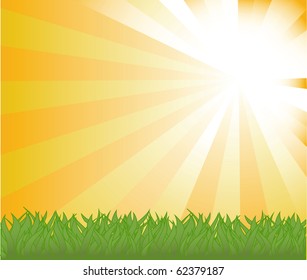 vector background with sky and grass.