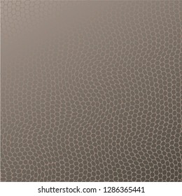 Vector background snake skin, design element
