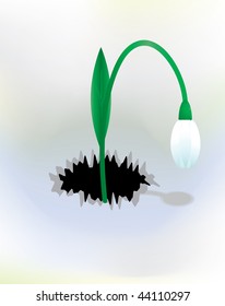 vector background with snowdrop, eps 10.0