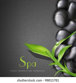 vector background of a spa with stones, and a sprig of green bamboo