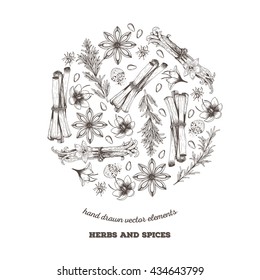 Vector background with spices. Food circle concept. Hand drawn illustrations.