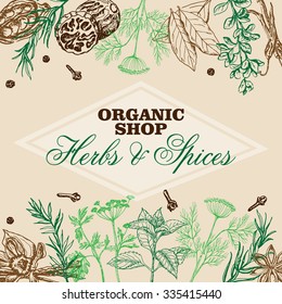 Vector background with spices and herbs. Vector  illustration for your design