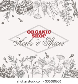 Vector background with spices and herbs. Vector  illustration for your design