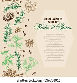 Vector background with spices and herbs. Vector  illustration for your design