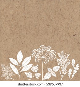 Vector background with spices and herbs on a  kraft paper. Illustration with place for text,  can be used  creating card, menu or invitation card.