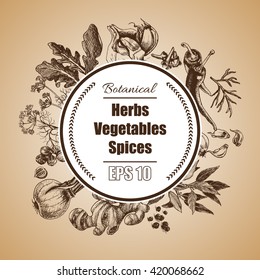 Vector background - spices, herbs, vegetables.
Realistic, unfocused nature, landscapes.
