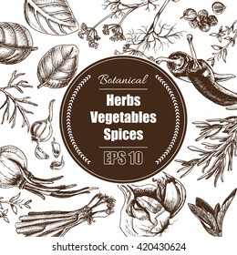 Vector background - spices, herbs, vegetables.