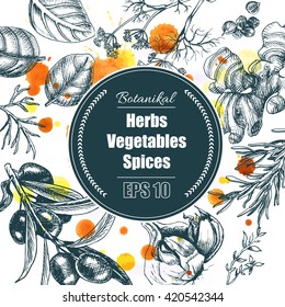 Vector background - spices, herbs, vegetables.
