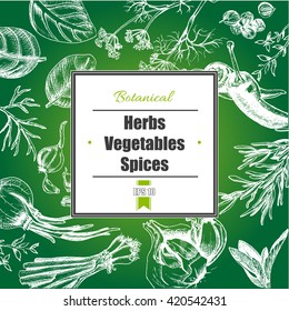Vector background - spices, herbs, vegetables.
