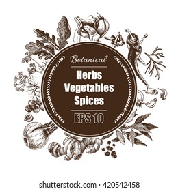 Vector background - spices, herbs, vegetables.
