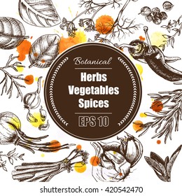 Vector background - spices, herbs, vegetables.
