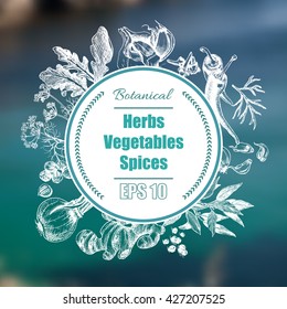 Vector background - spices, herbs, vegetables.
Realistic, unfocused nature, landscapes.