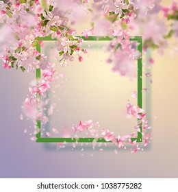 Vector background with spring apple blossom. Blossoming branch in springtime and frame with flying petals