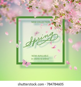 Vector background with spring apple blossom. Blossoming branch in springtime, frame and text