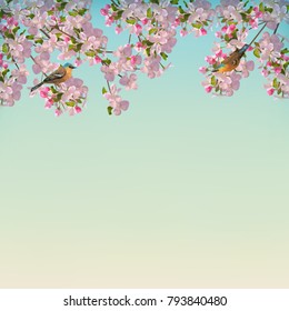 Vector background with spring Apple blossom and birds. Blooming tree branch in springtime
