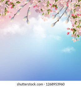 Vector background with spring blossom against cloudy sky. Blooming tree branch in springtime