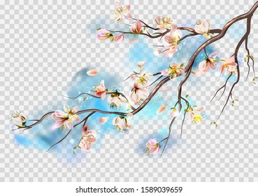 
Vector background with spring cherry blossom. Sakura branch in springtime with falling petals and blurred transparent elements