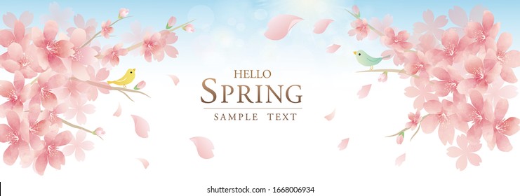 Vector background with spring cherry blossom. 