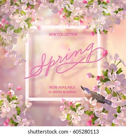 Vector background with spring cherry blossom. Spring collection banner with bird, apple blossoming branch and text