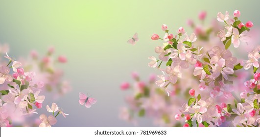 Vector background with spring cherry blossom. Sakura branch in springtime