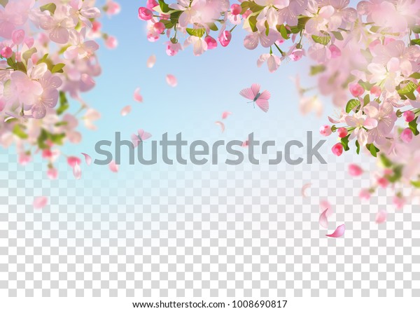 Vector background with spring cherry blossom.\
Sakura branch in springtime with falling petals and partially\
transparent background