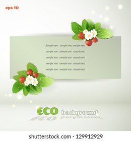 Vector background with strawberries. Eco design  for floral banner.