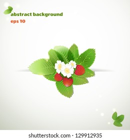 Vector background with strawberries. Eco design  for floral banner.