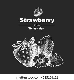 Vector background with  strawberry. Hand drawn. Vintage style