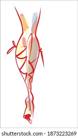 
Fondo del VECTOR con un
elegante  esbozo gráfico original dibujado a mano con hermosas piernas modelo de chica joven para el logo de belleza de diseño 