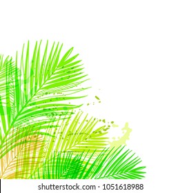 vector background summer green card leaves palm