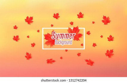 Vector background of the summer.The red maple leaf and shown to feel the spring.And a backdrop of colorful warm tones.

