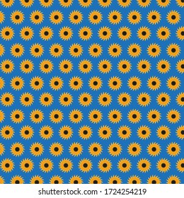 Vector background sunflower flower, color yellow and blue flat style