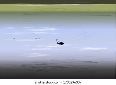 Vector background with swans on a pond.