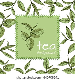 vector background with tea logo, hand-drawn leaves and branches of tea
