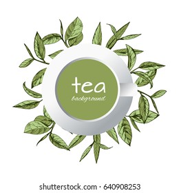 vector background with tea logo, hand-drawn leaves and branches of tea