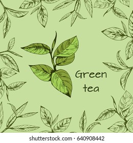 vector background with tea logo, hand-drawn leaves and branches of tea
