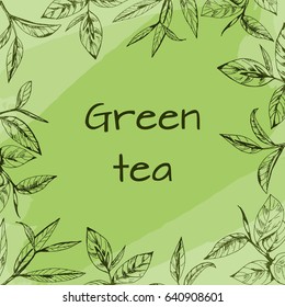 vector background with tea logo, hand-drawn leaves and branches of tea