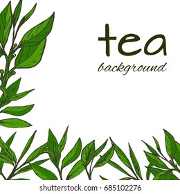 vector background with tea logo, hand-drawn leaves and branches of tea