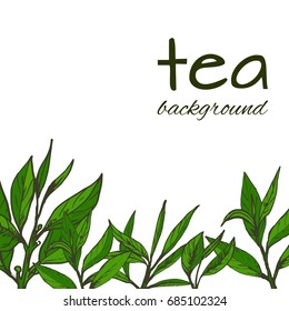 vector background with tea logo, hand-drawn leaves and branches of tea