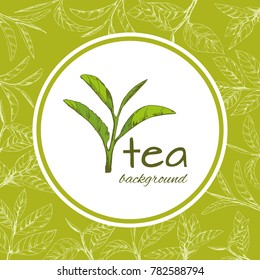 vector background with tea logo, hand-drawn leaves and branches of tea