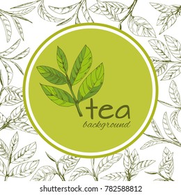 vector background with tea logo, hand-drawn leaves and branches of tea