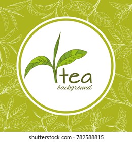 vector background with tea logo, hand-drawn leaves and branches of tea